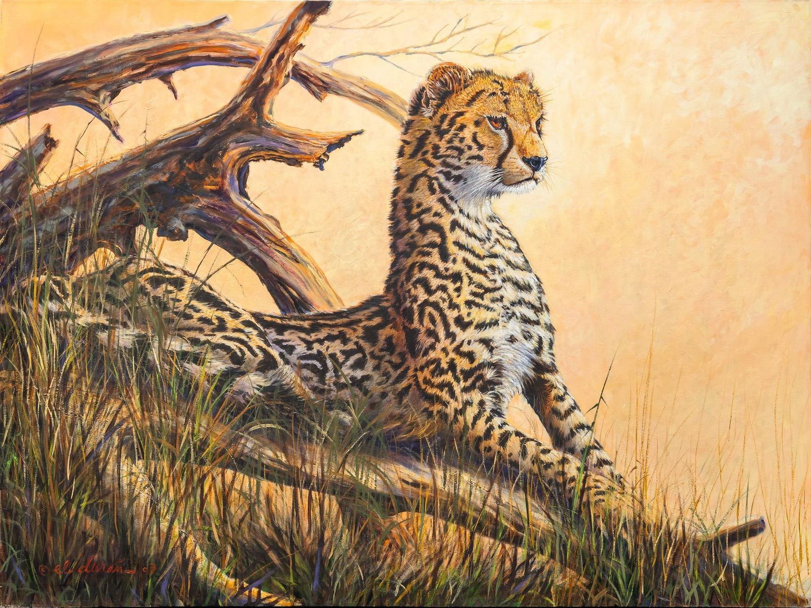 Gilbert Duran,  Cheetah, 1997 (1 of 6)