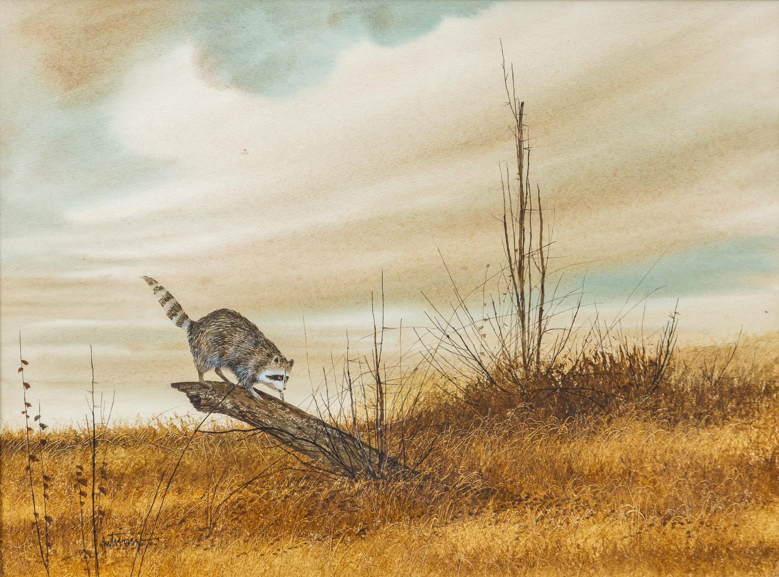 Raul Gutierrez, Raccoon: Raul Gutierrez (Texas, b. 1935), raccoon perched on log in dry landscape, watercolor on paper sight: 12 x 16 in., frame: 20.75 x 24.75 in. Provenance: Property from the collection of a San Antonio, Te