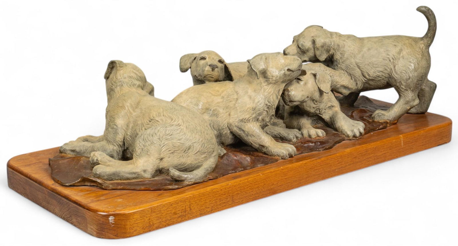 Cindy Burleson, Playful Puppies (1 of 8)