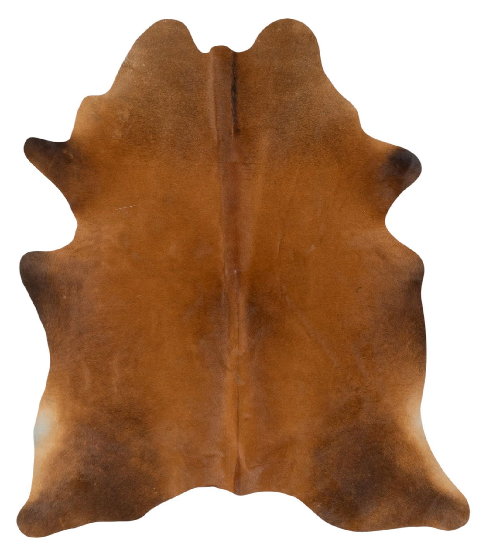Brown Cowhide Rug (1 of 6)