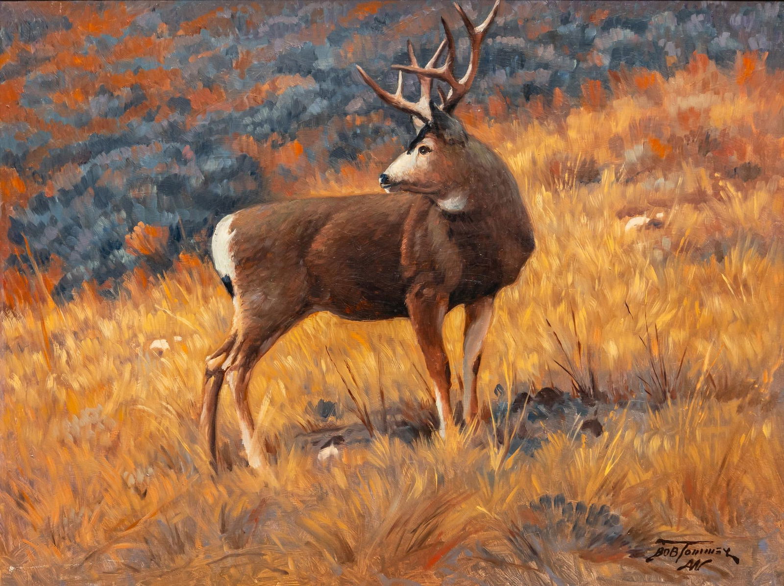 Bob Tommey, Stag on Hillside (1 of 6)