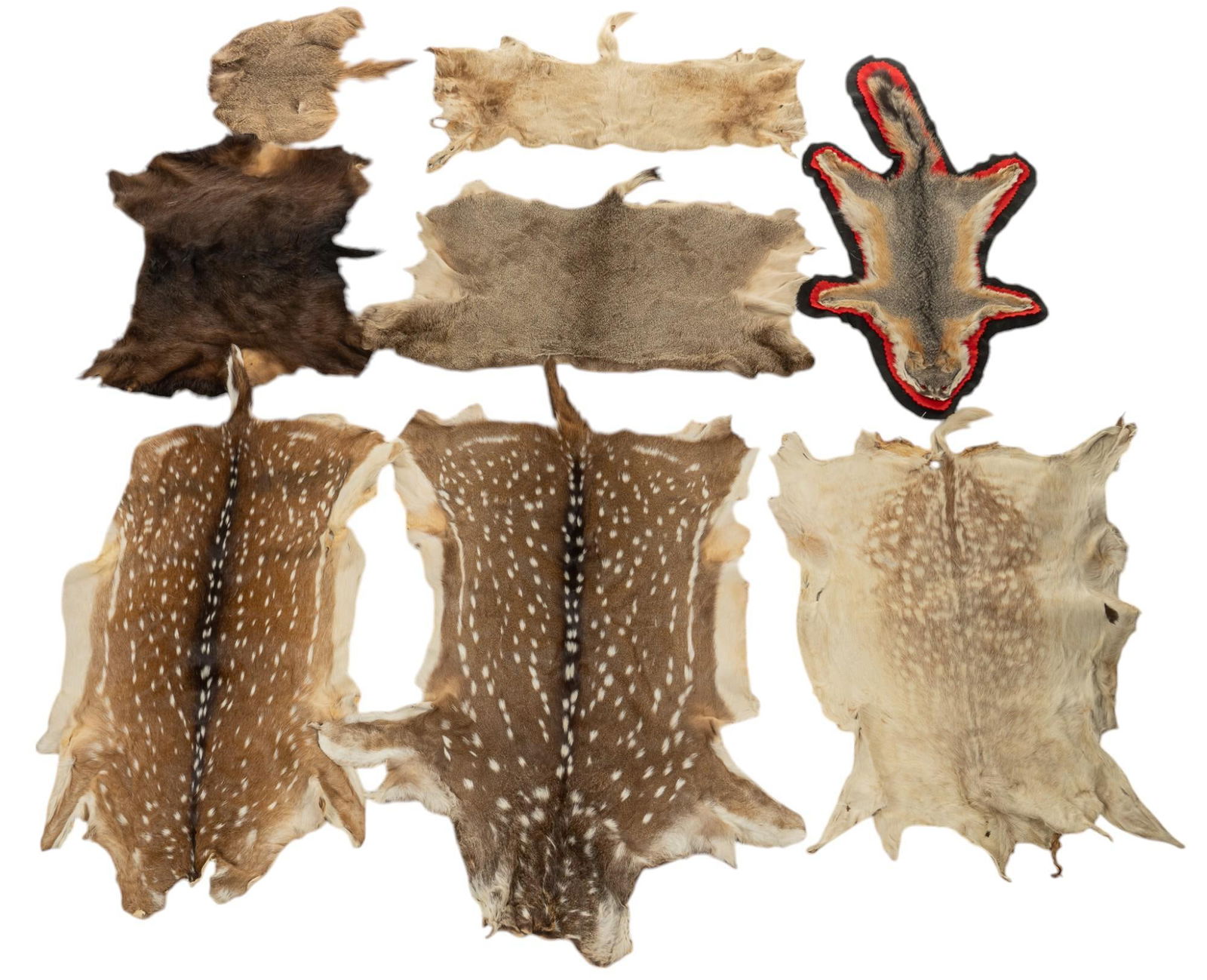 (8) Various Animal Pelts (1 of 12)