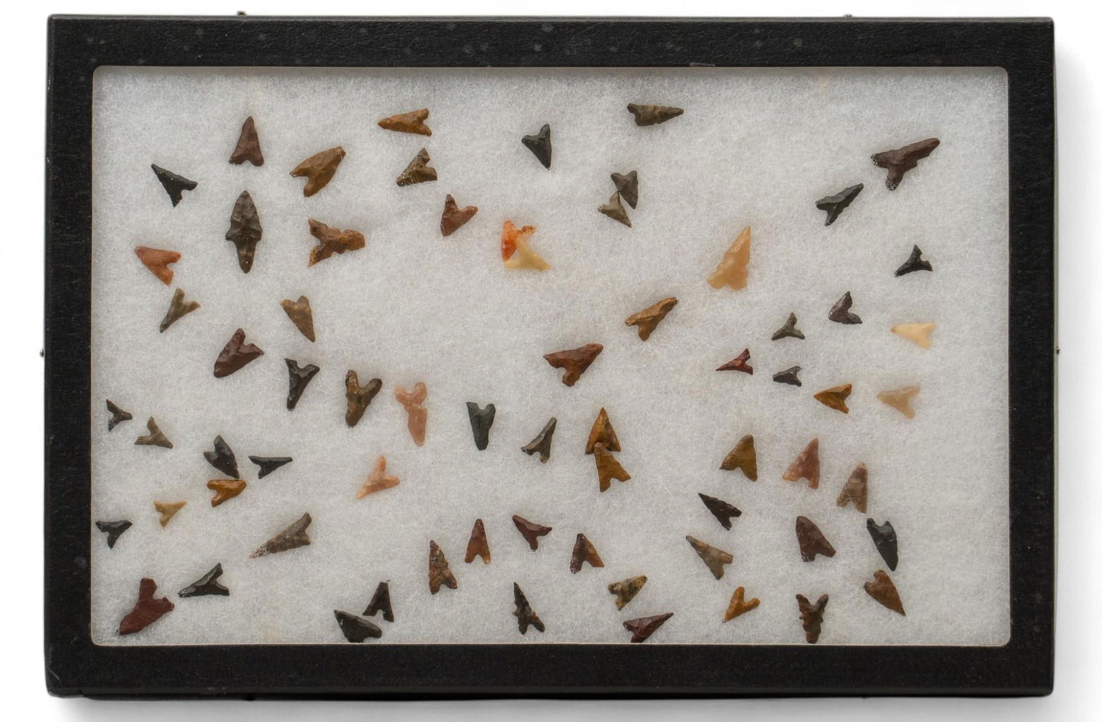 Framed Collection of (68) Texan Garza Bird-Points (1 of 7)