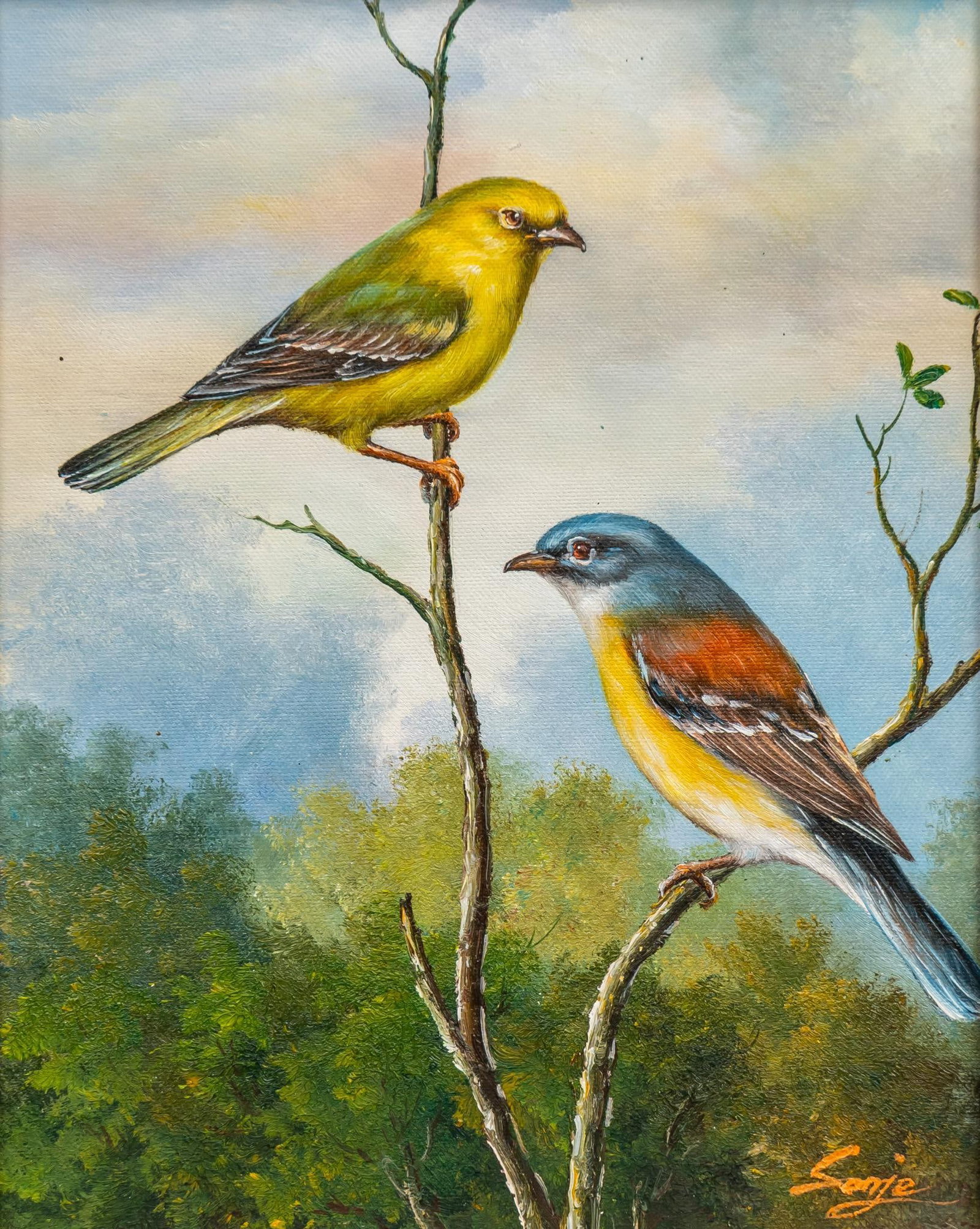Signed Sonje, Songbirds Painting: Signed Sonje, songbirds perched on branches, oil on canvas sight: 10 x 8 in., frame: 17 x 15 in. Provenance: Property from the collection of a Plano, Texas lady