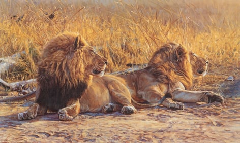 John Banovich, "Distant Movement"