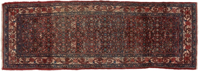 Handwoven Rug Runner, 9 ft. 11 in. x 3 ft. 6 in.