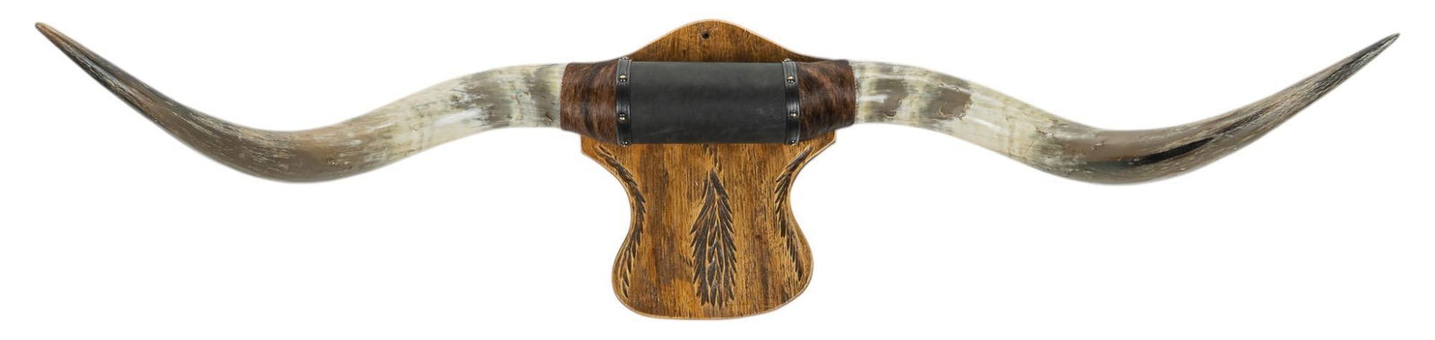 Longhorn Wall Mount (1 of 4)