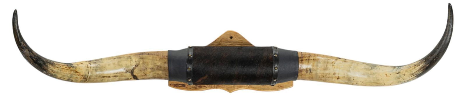 Longhorn Wall Mount (1 of 5)