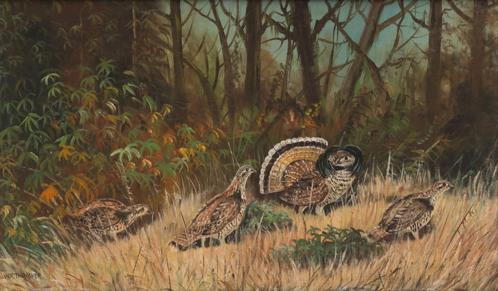 W. R. Thrasher, "Ruffed Grouse" (1 of 5)