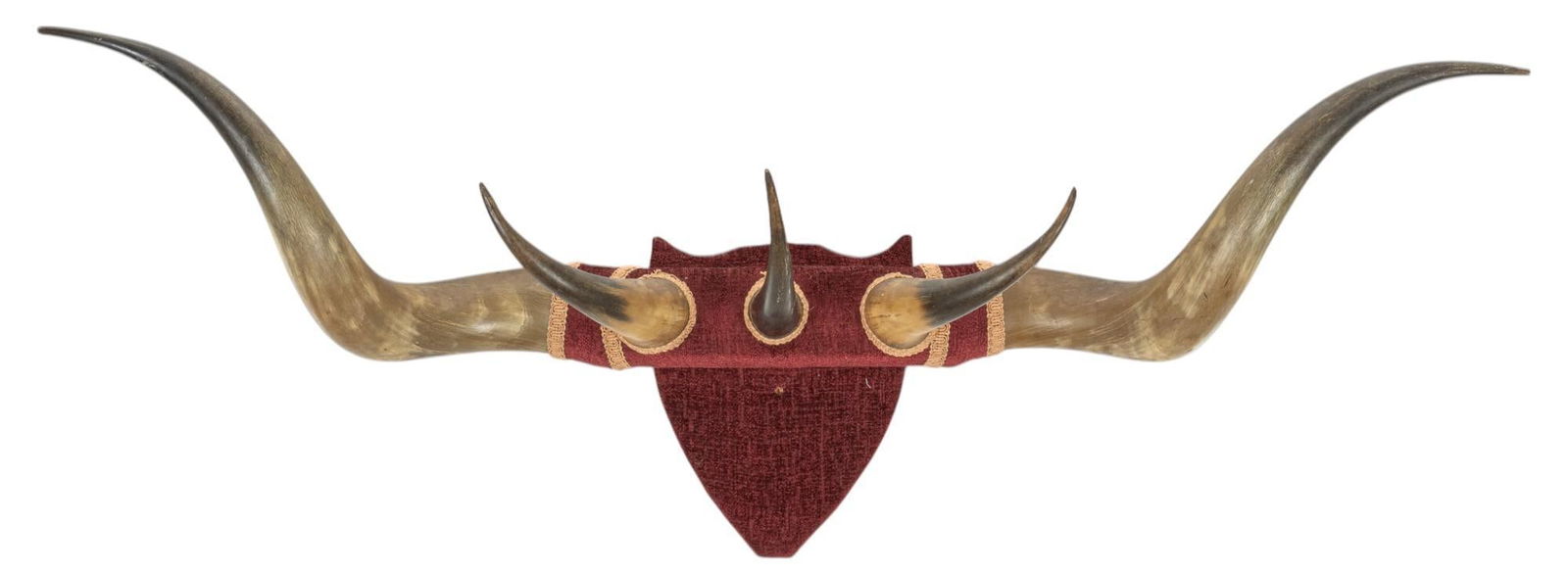 Longhorn Horn Wall Rack (1 of 4)