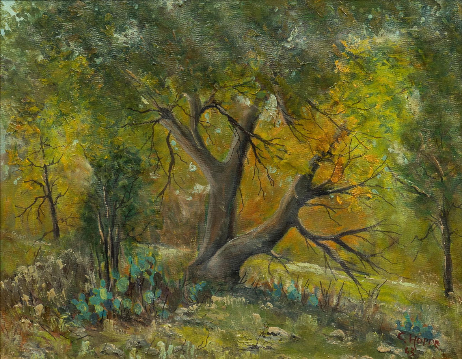 Carl T. Hoppe, "Oak Trees - Helotes, Texas": Carl T. Hoppe (San Antonio, Texas, 1897-1981), "Oak Trees - Helotes, Texas", oil on canvas sight: 16 x 20 in., frame: 22 x 26 in. Exhibited: Previously on view within the Carl T. Hoppe: The