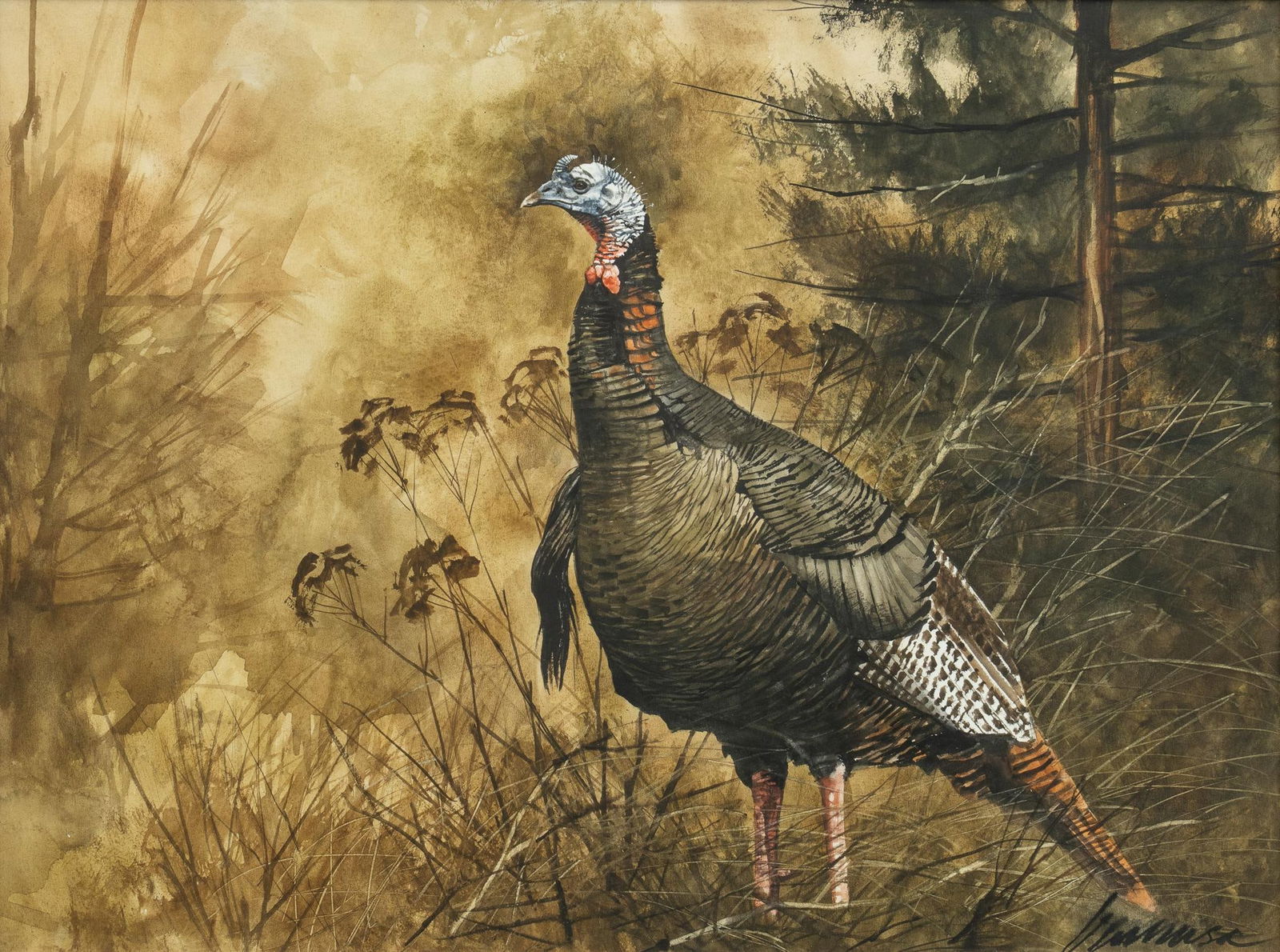 Ragan Gennusa, Turkey (1 of 5)