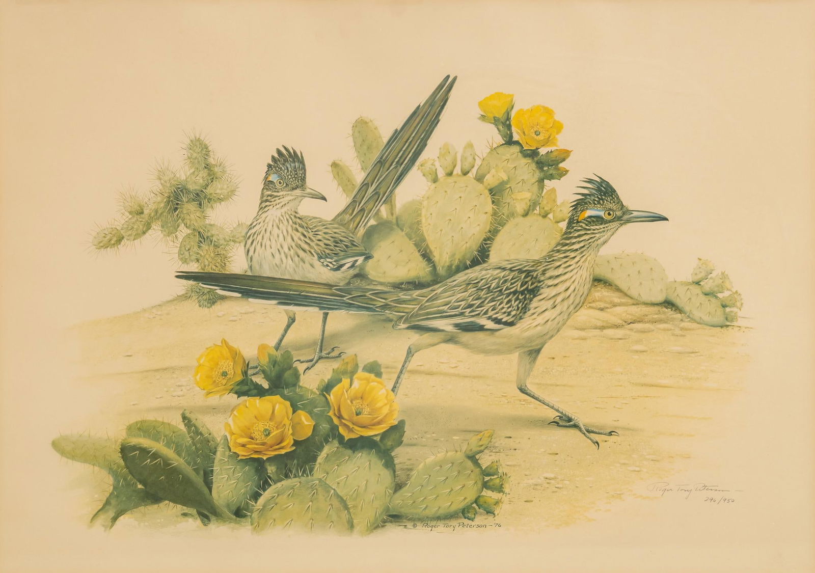 Roger Tory Peterson, "Roadrunners and Cacti" (1 of 6)