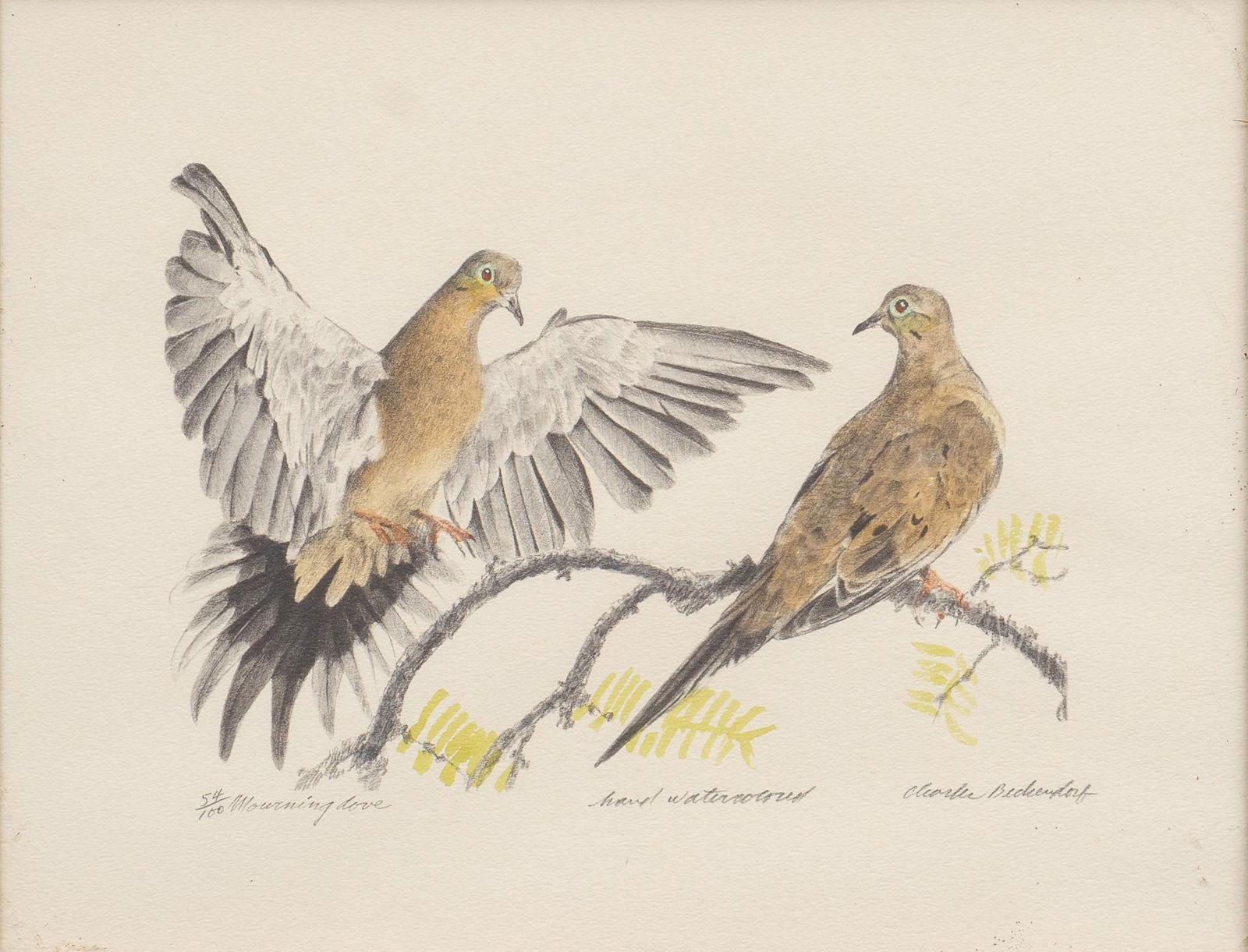 Charles Beckendorf, "Mourning Dove" (1 of 7)