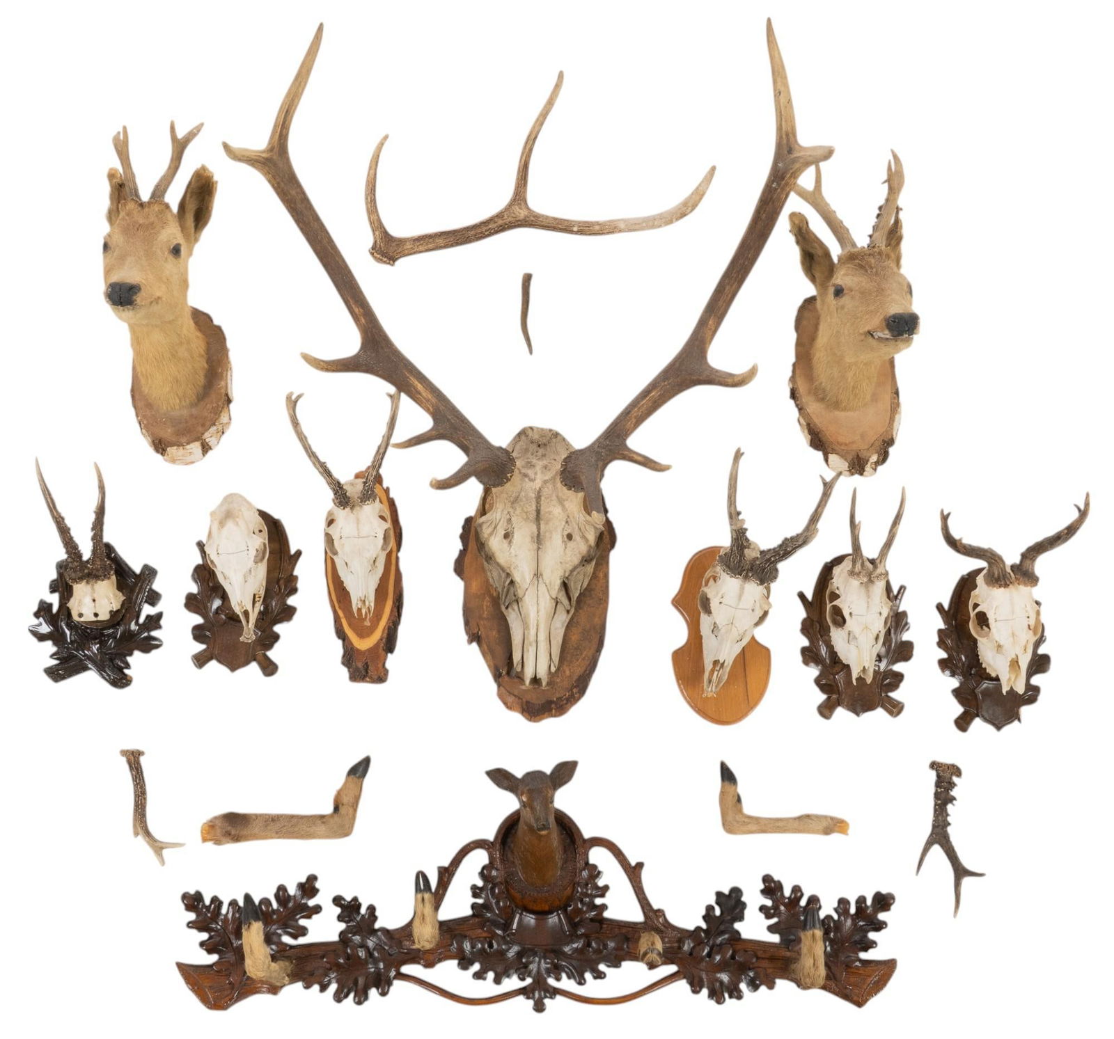 Large Collection of Taxidermy Mounts and Hooves (1 of 9)
