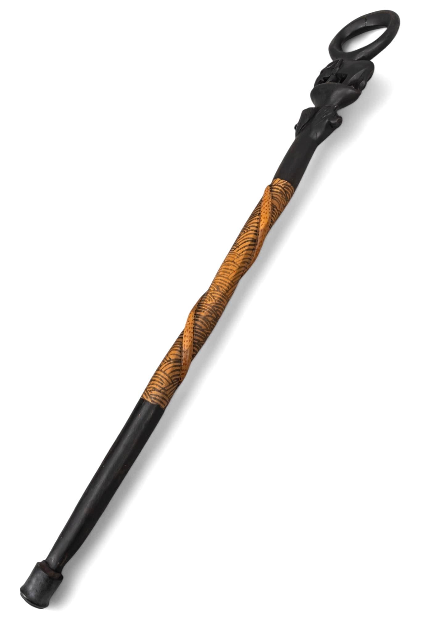 African Walking Stick (1 of 11)