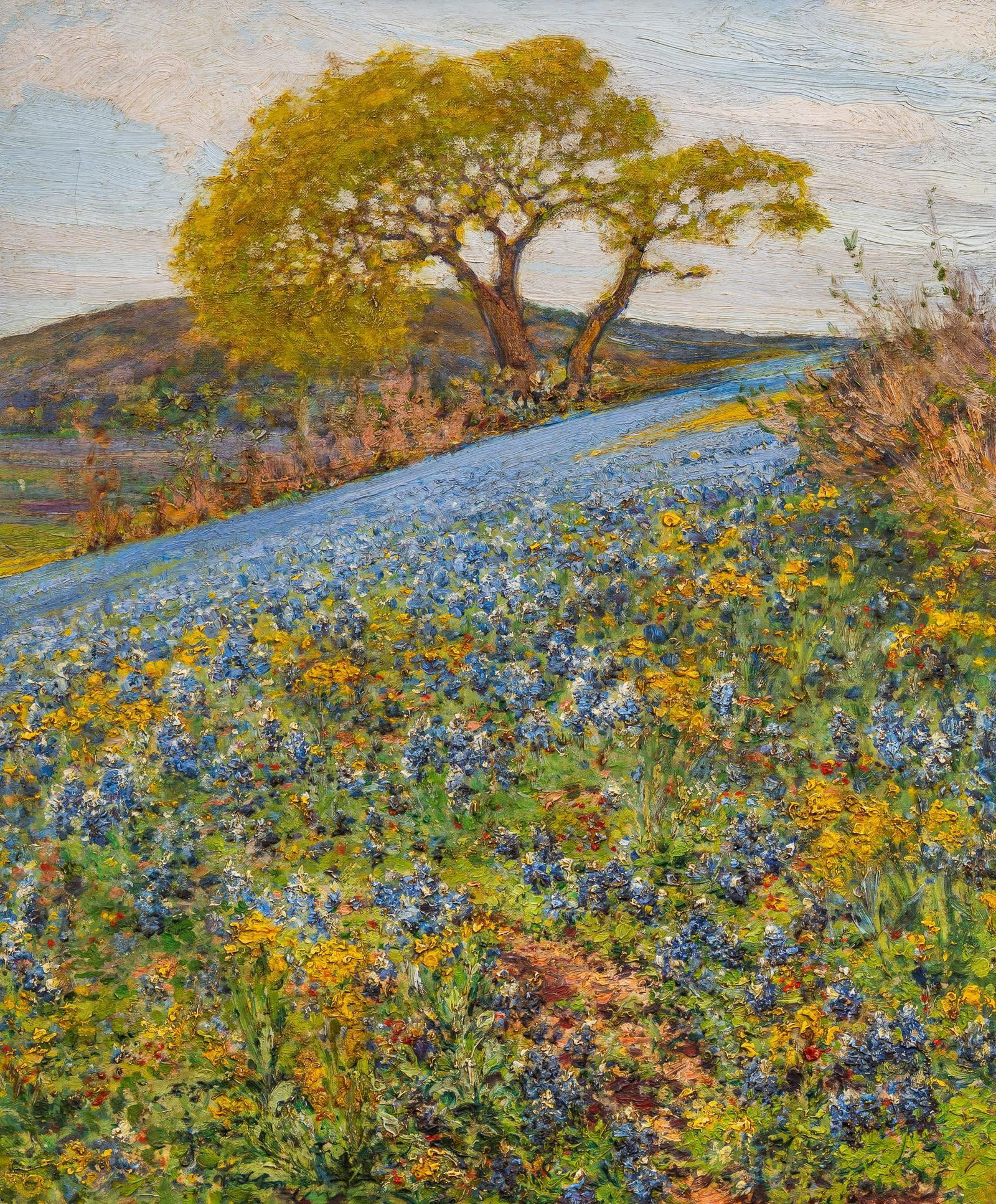 Jose Arpa and Xavier Gonzalez, Hillside Flowers (1 of 5)