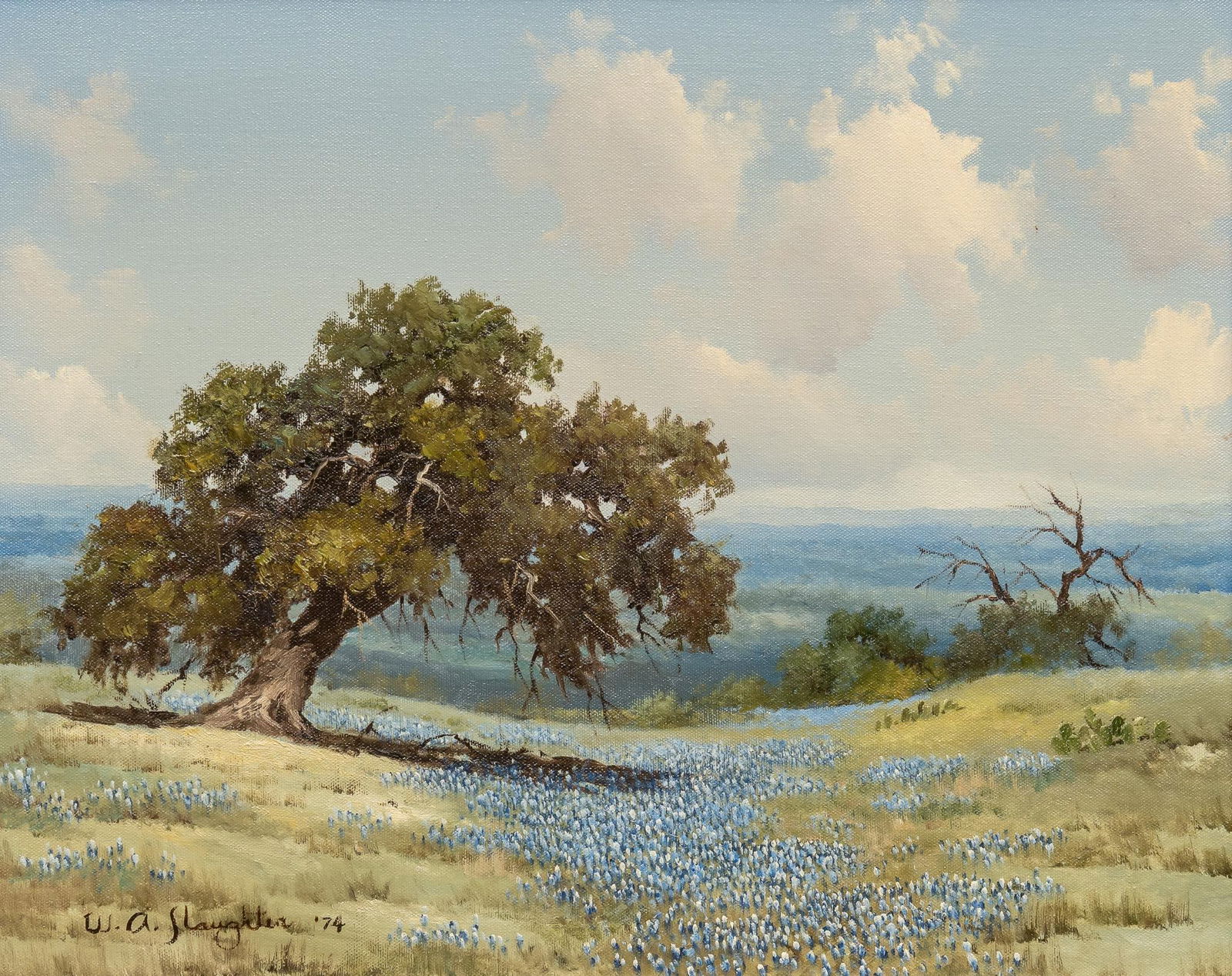 W. A. Slaughter, Bluebonnets and Oak (1 of 5)