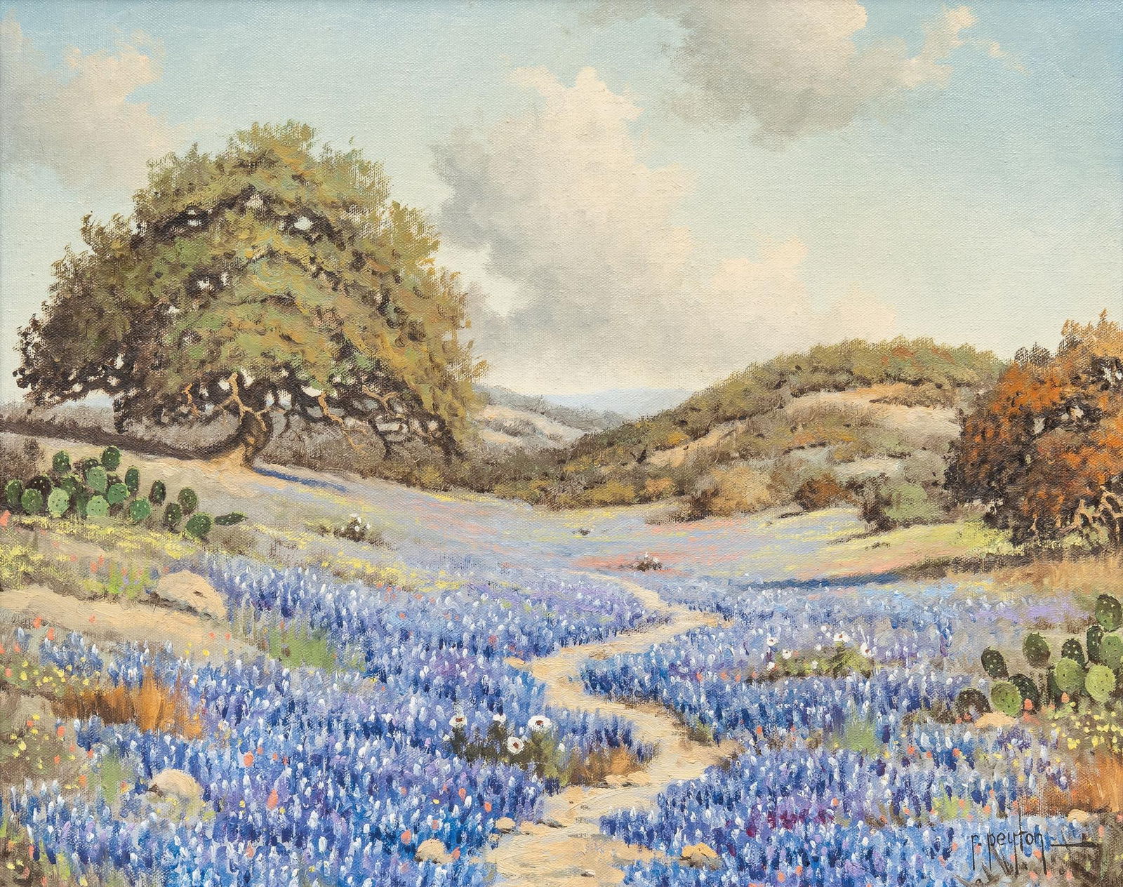 Randy Peyton, Bluebonnet Path (1 of 5)