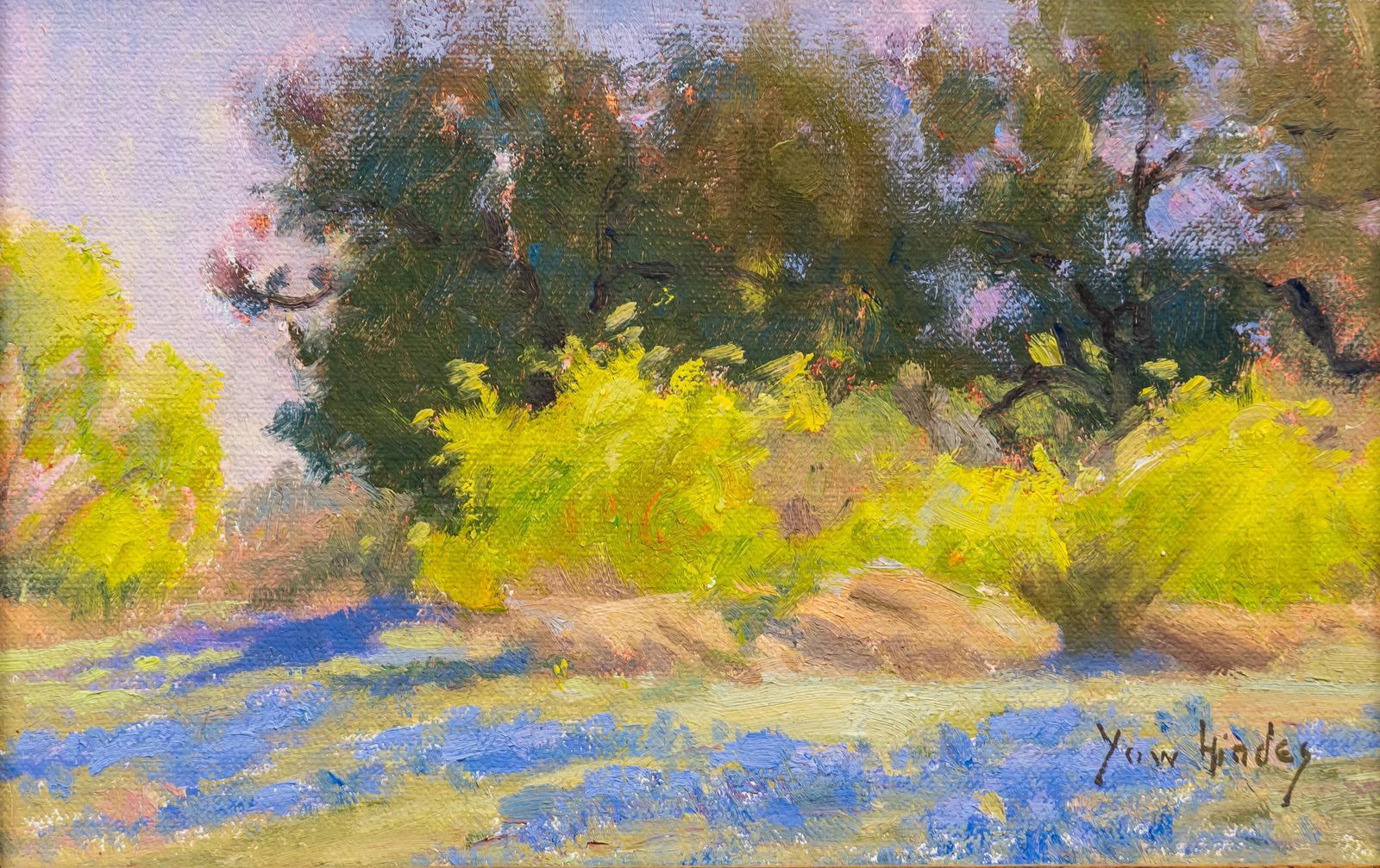 Janice Hindes, Bluebonnets (1 of 5)