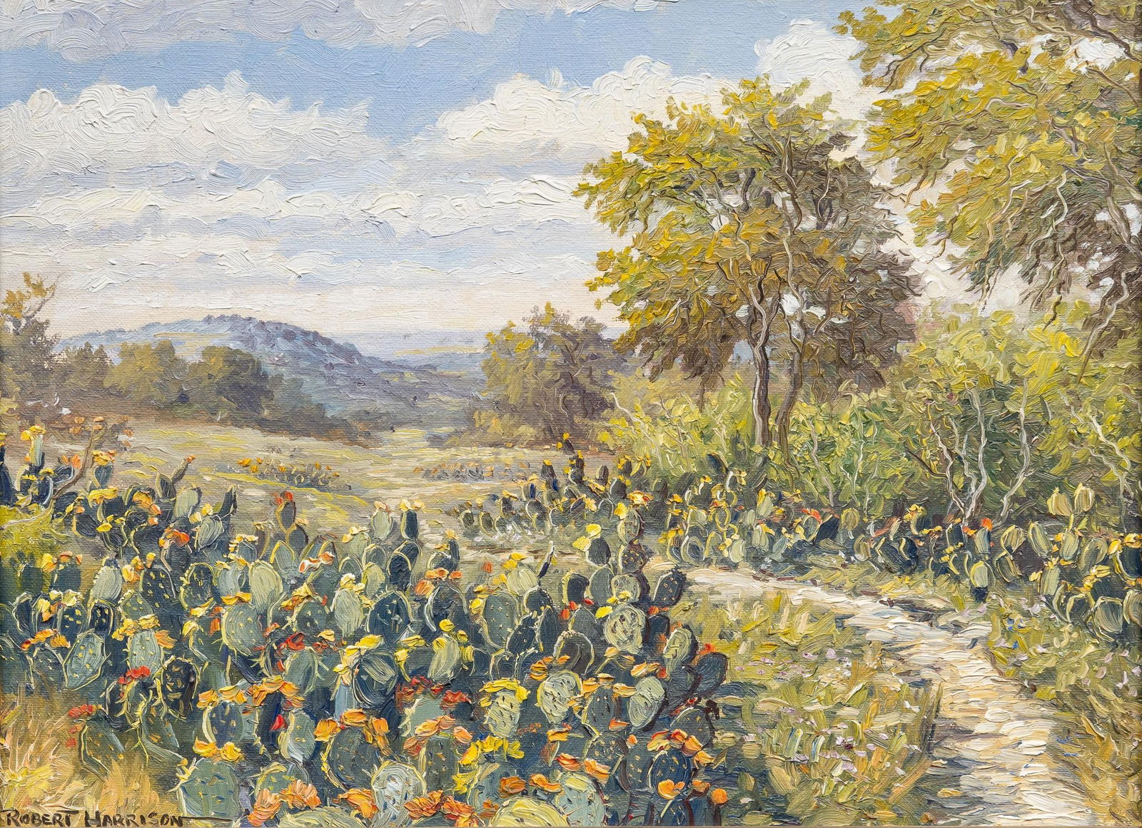 Robert Harrison, Cactus Scene (1 of 6)
