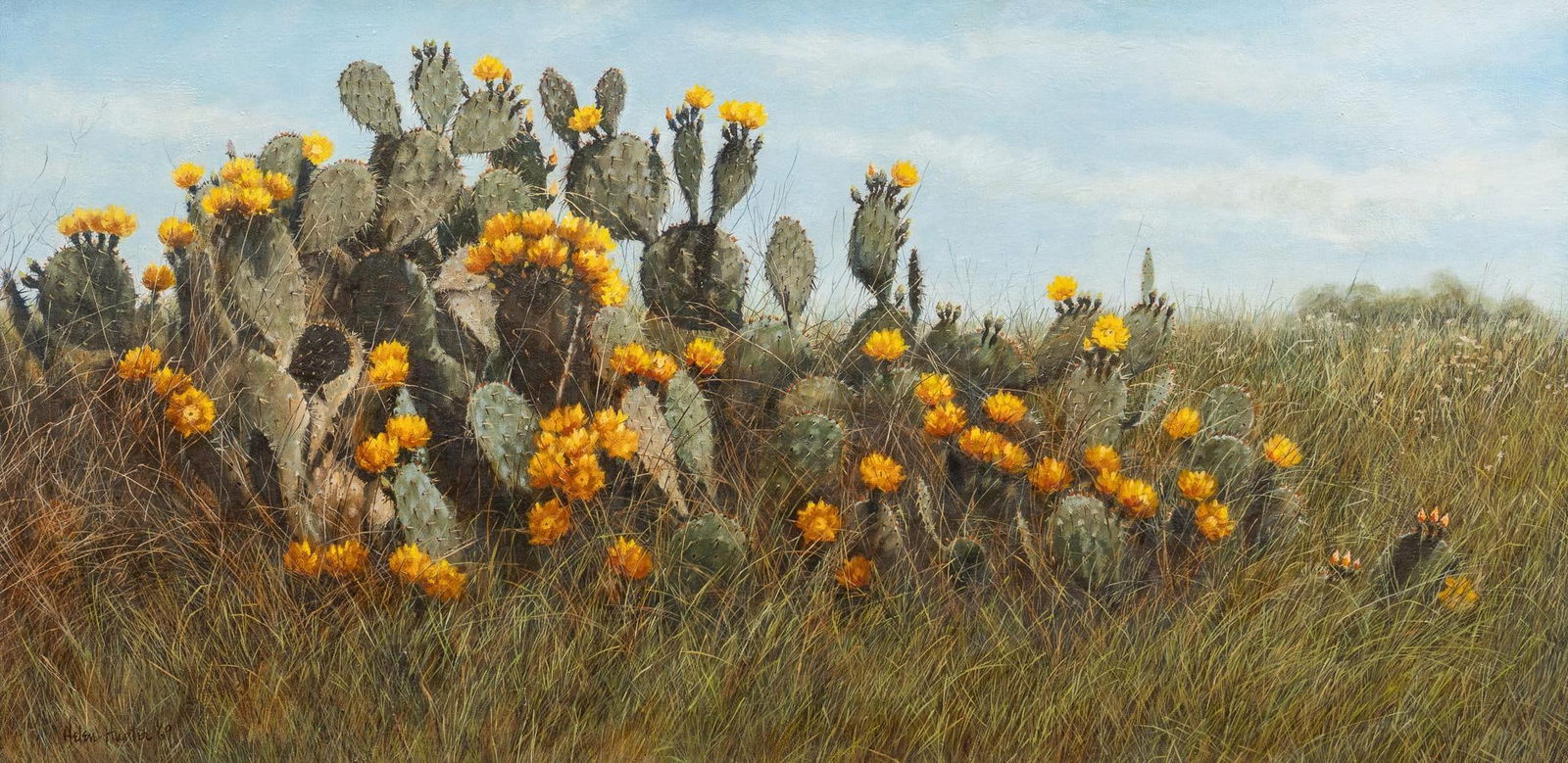Helen Hunter, Blooming Cactus Flowers, 1969 (1 of 5)