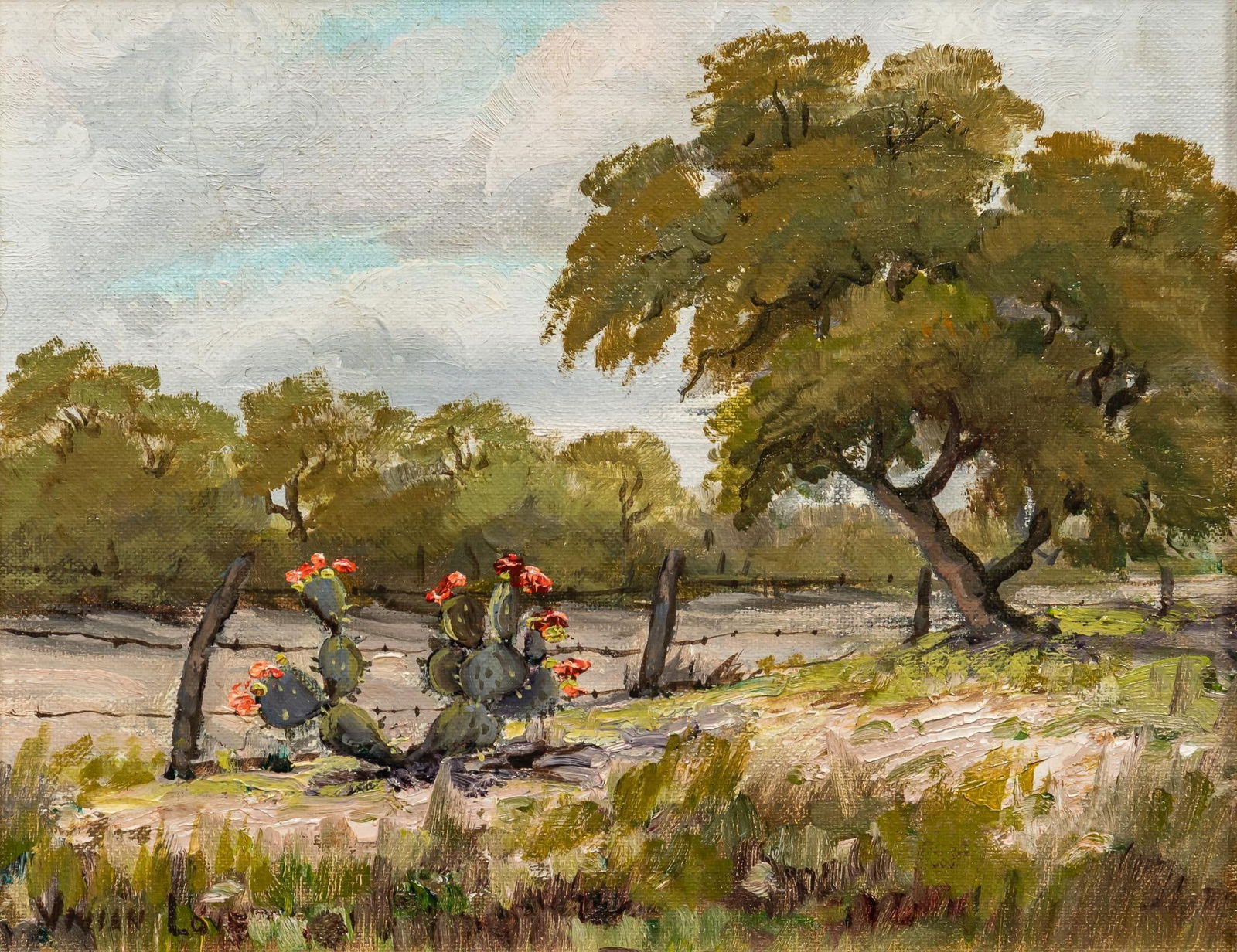 Vivian Love, Cactus Blooms (1 of 6)