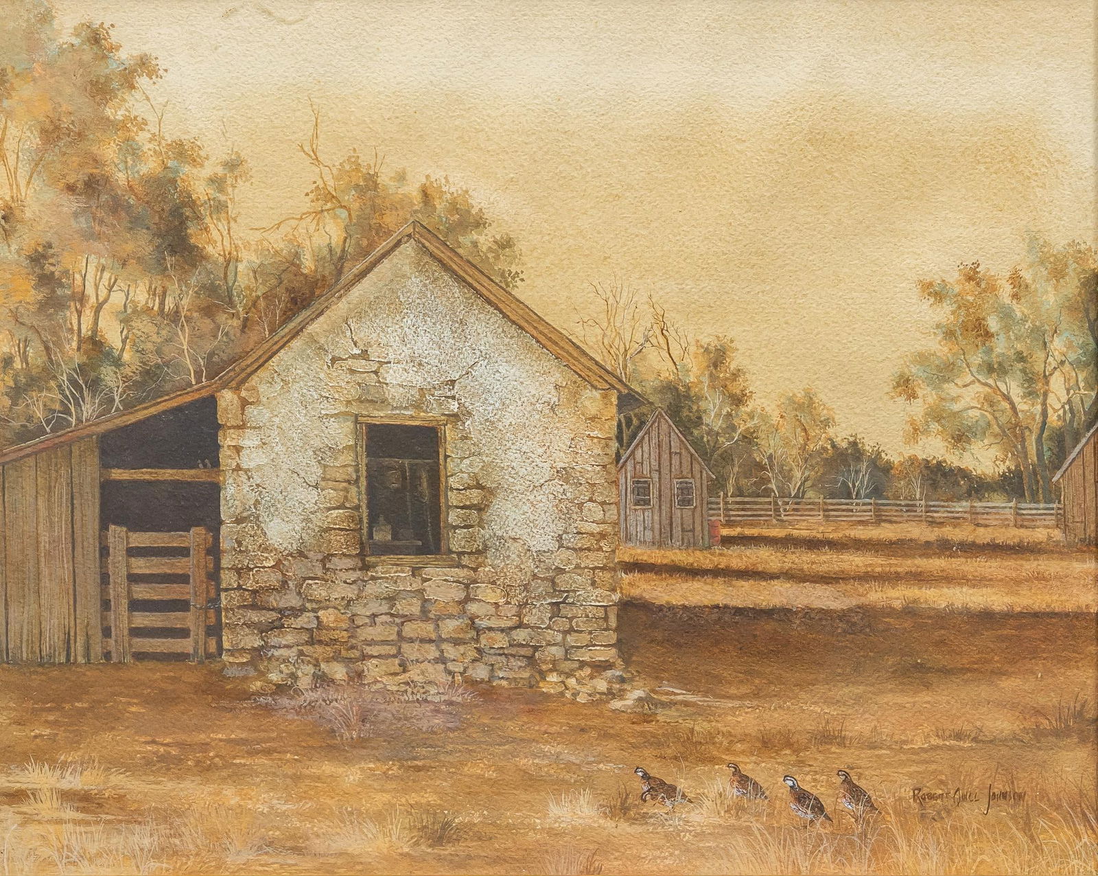 Robert Quill Johnson, Quail in Castroville, Texas (1 of 7)