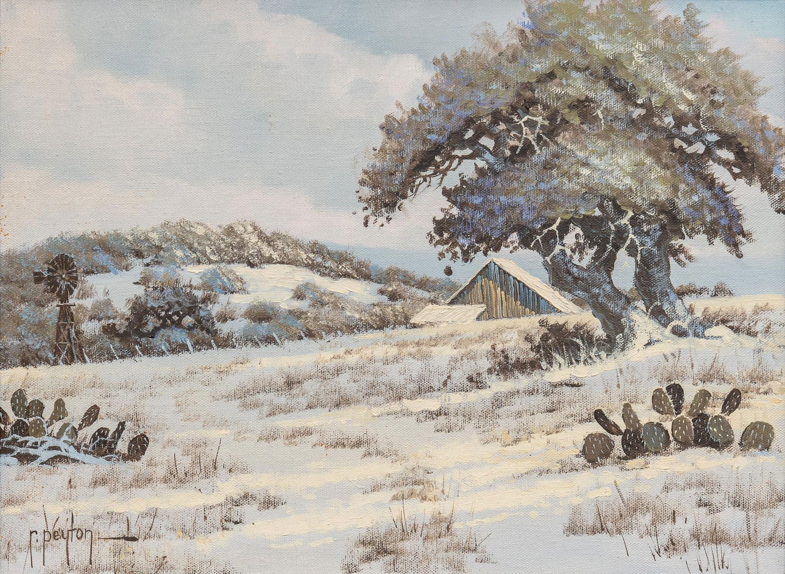Randy Peyton, Texas Winter (1 of 5)