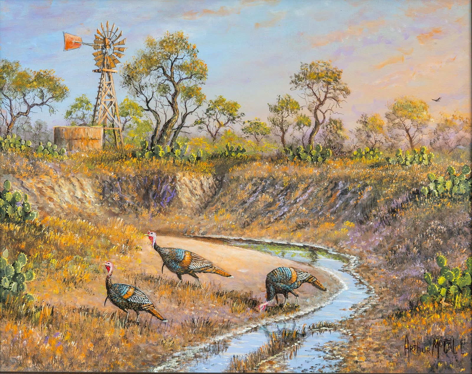 Arthur McCall, Turkeys (1 of 5)