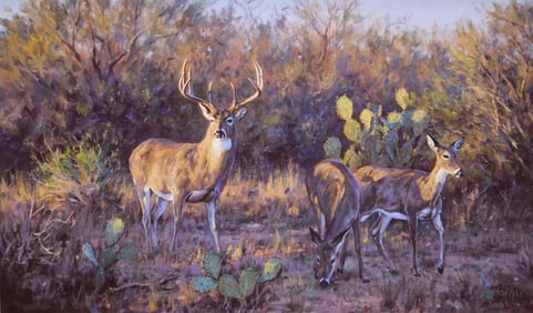 Brian Grimm, "Ten Point Spread"
