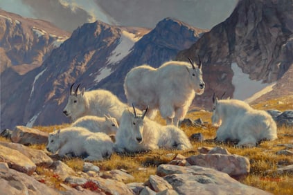 Dustin Van Wechel, "Icing on the Cake"