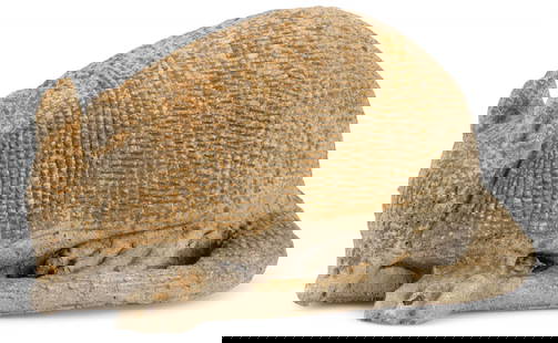 Armadillo Garden Sculpture: Concrete armadillo garden sculpture height 10 in. x width 8 in. x depth 19.5 in. Provenance: Property from the collection of a San Antonio, Texas gentleman