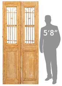 Pair of Rustic Architectural Doors