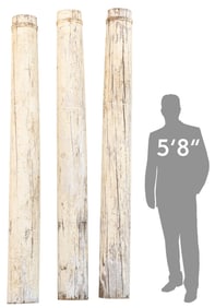 Group of (3) Classical Style Architectural Columns