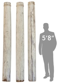 Group of (3) Classical Style Architectural Columns