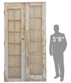 Pair of Vintage Architectural Doors