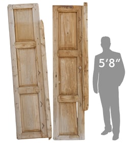Pair of Rustic Architectural Doors