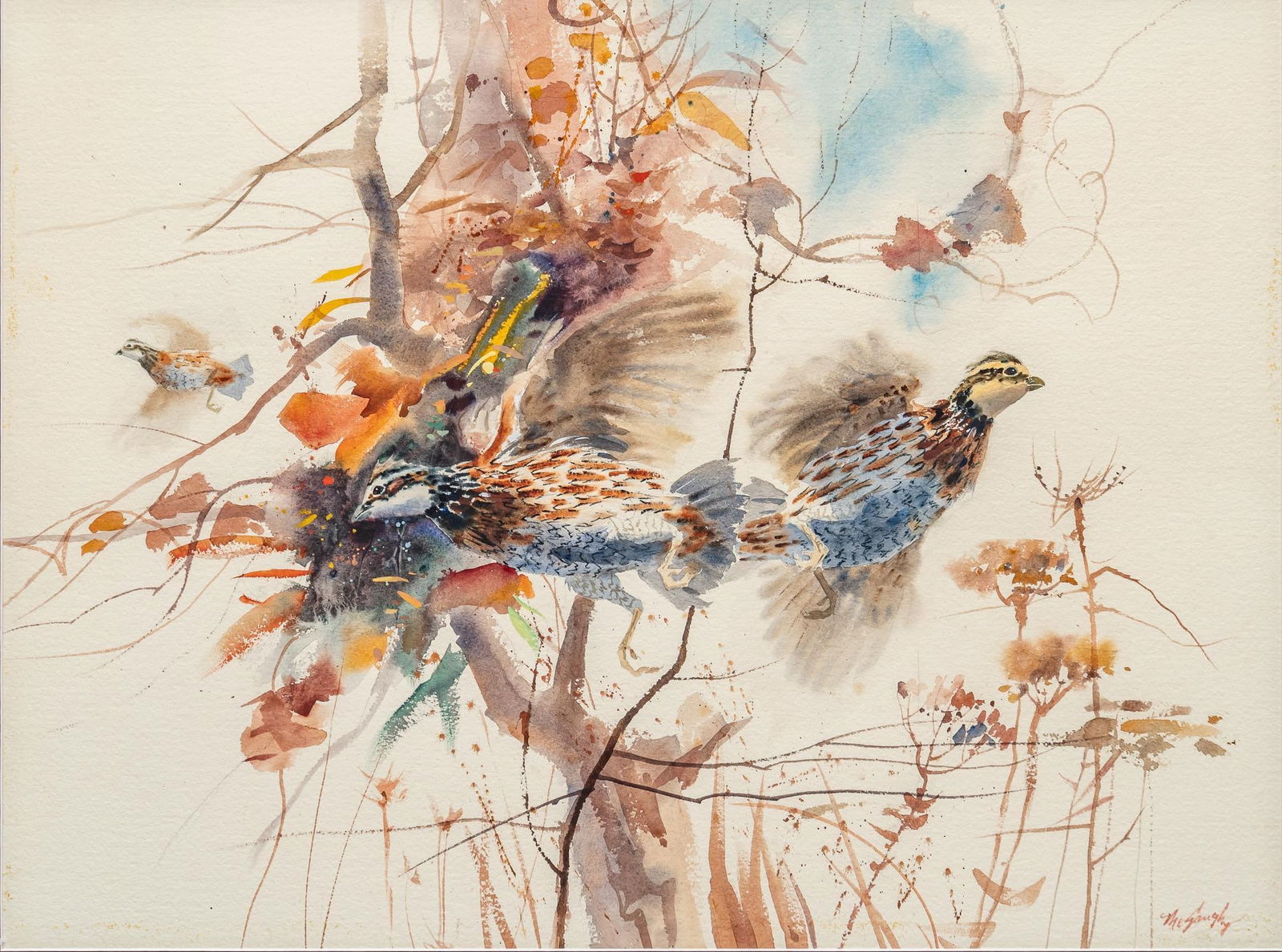 Clay McGaughy, Quail Taking Flight (1 of 4)