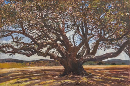Large Live Oak Tree, Oil on Canvas