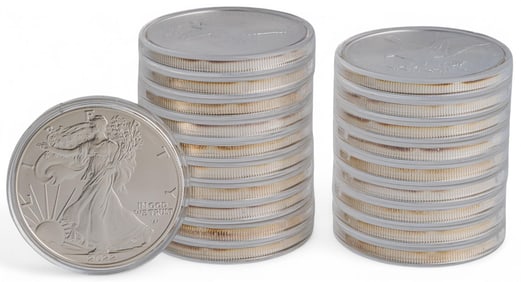 (20) American Silver Eagle Coins