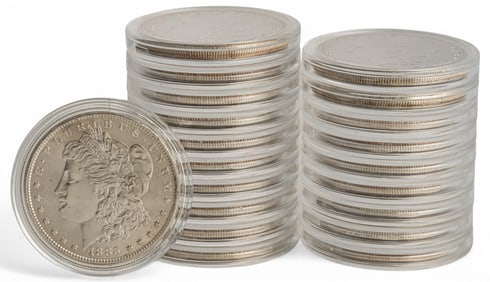 (20) Cased Morgan Silver Dollars