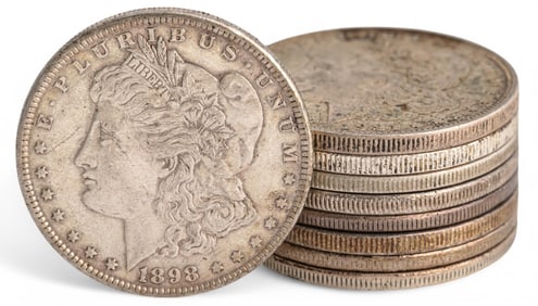 (9) Morgan Silver Dollars
