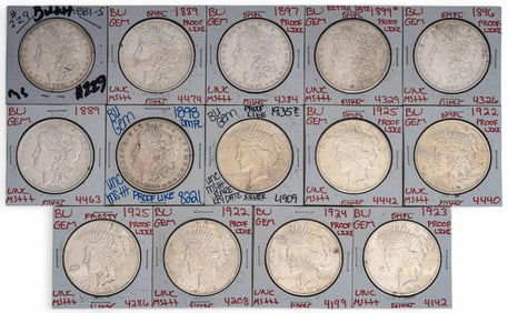 (14) Silver Dollars