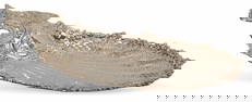 Pierced Sterling Silver Peacock Tray