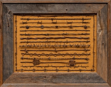 Framed Barbed Wire Display