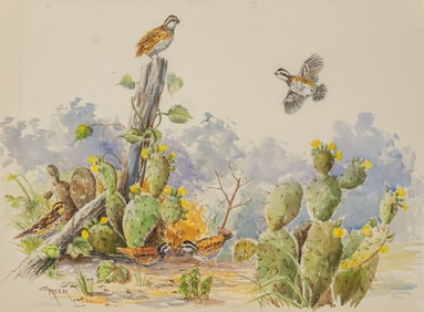 Greer, Bobwhites in Cactus