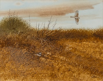 Raul Gutierrez, Quail and Hawk