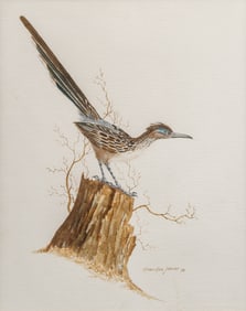 Robert Quill Johnson, Roadrunner