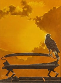 Barron Postmus, Hawk in Sunset